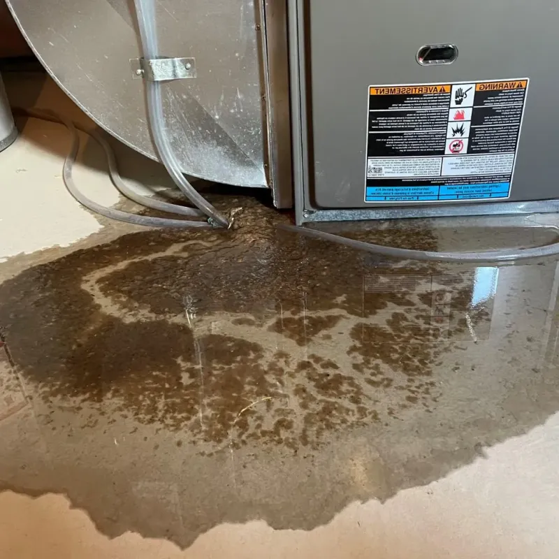 Pipe Burst and Leak Restoration in Hudson, NC