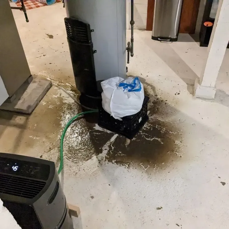 Sewage Backup Cleanup Service in Hudson, NC